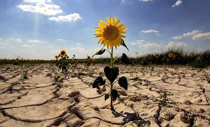 Pide México acciones urgentes contra el cambio climático