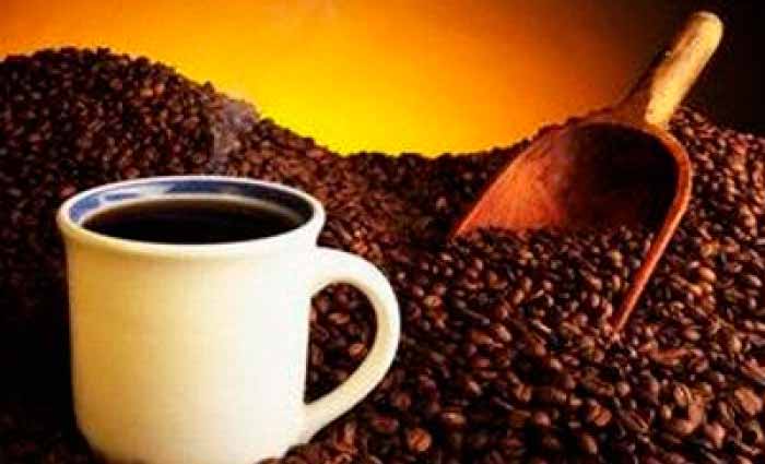 Venden café mexicano a precios récord en subasta internacional