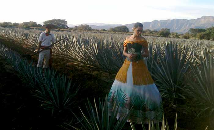 Reconocen al tequila en aniversario de Convención Patrimonio Mundial.