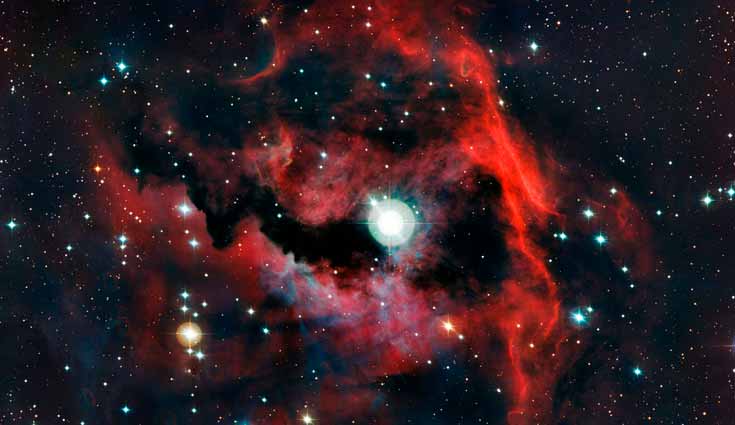 Capta telescopio la cabeza de una `gaviota cósmica´ Capta telescopio la cabeza de una `gaviota cósmica´