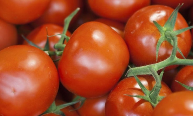 EU toma acción preliminar contra jitomate mexicano