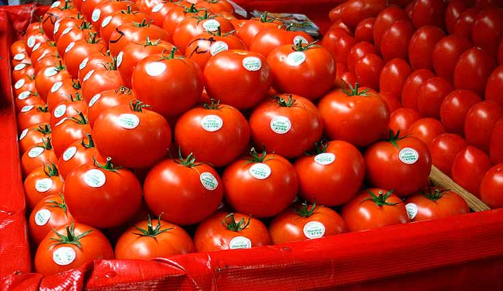 Se viene `Guerra del Tomate` entre México y EEUU Se viene `Guerra del Tomate` entre México y EEUU