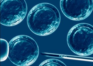 Destaca Premio Nobel trabajo que revoluciona medicina regenerativa