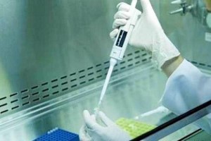 Revela estudio que es imposible `resucitar` dinosaurios por su ADN