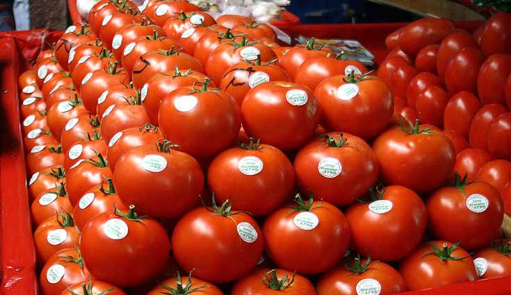 Solicita gobierno de EUA a tomateros mexicanos más información 