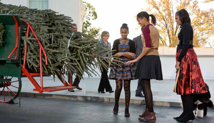Árbol de Navidad llega a la Casa Blanca Árbol de Navidad llega a la Casa Blanca
