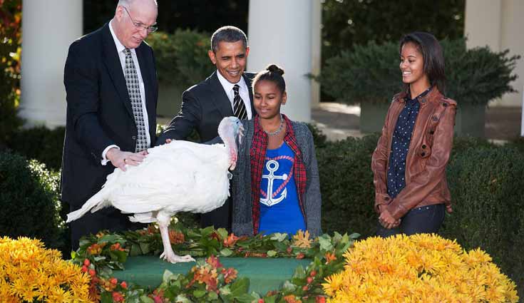 Salvan Facebook y Obama al pavo Cobbler