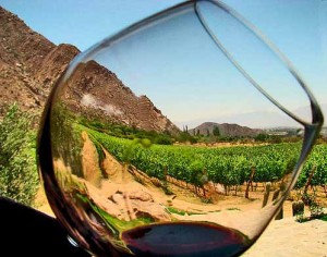 A degustar vino de calidad en México