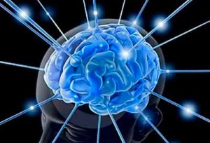 Identifican moléculas que convierten el sonido en señales al cerebro