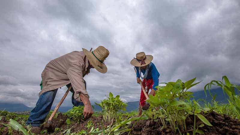 México, hoy es una obra de teatro…