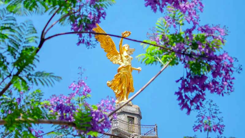 Entre los hombres como entre las naciones…