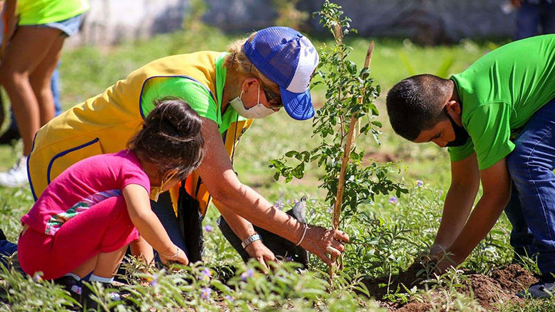 El Día de la Felicidad, Una Luz entre Sombras…