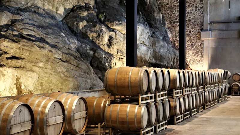 Se realizará en Guanajuato encuentros del mundo del vino