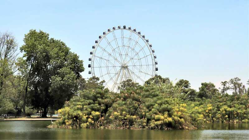 Adaptan Chapultepec al cambio climático: reforestan con especies resistentes al calor