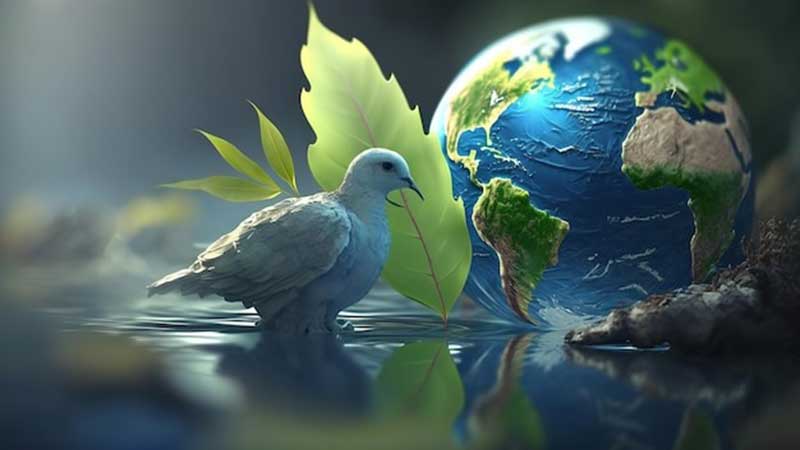 dia paz no violencia onu generat