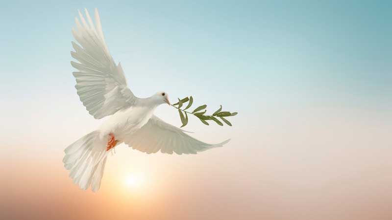 para que sirve rezar por la paz