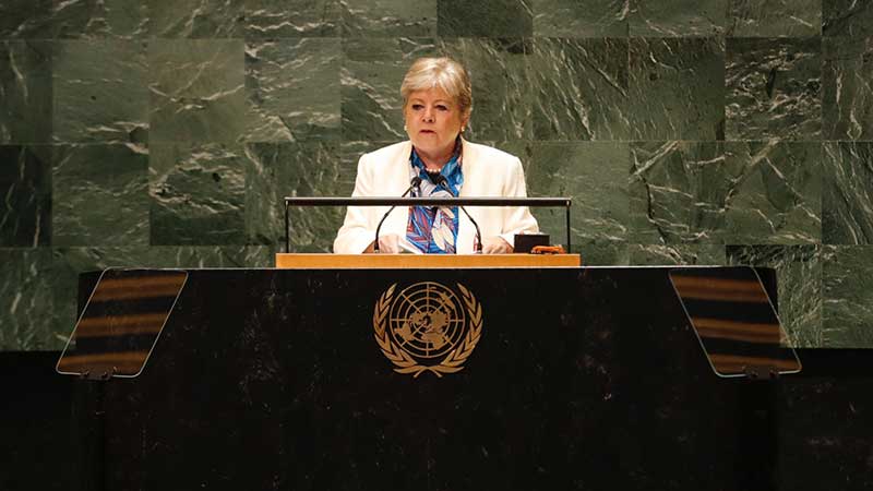 México urge a poner fin al veto en la ONU