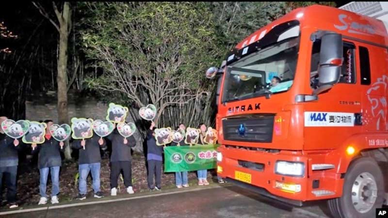 Dos pandas gigantes llegan desde China al zoológico de Washington tras larga espera