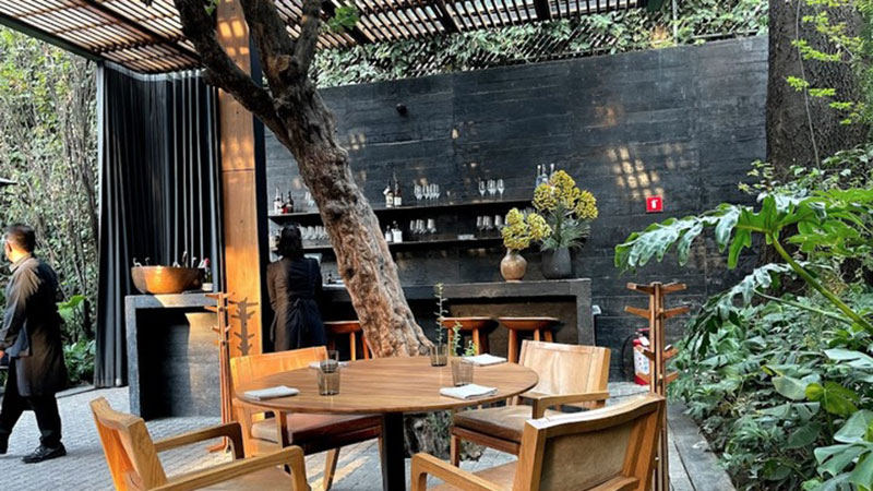 Date un gusto, visita los mejores restaurantes de México para cerrar el 2024