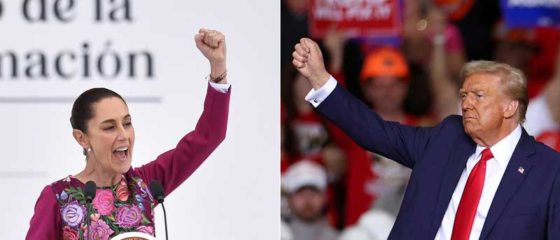 donald trump sheinbaum