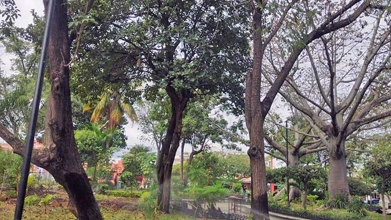 Las cabañuelas 2025 advierten sobre salud y bienestar en Chiapas