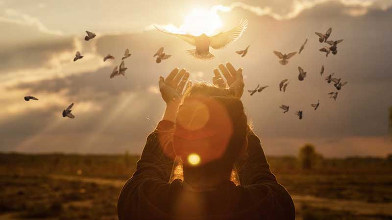 shutterstock 1917555536