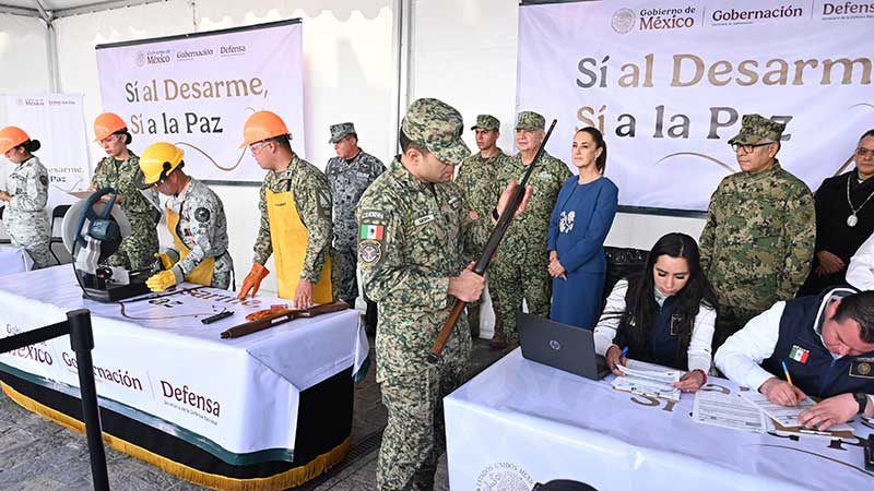 2025 01 10 si al desarme1