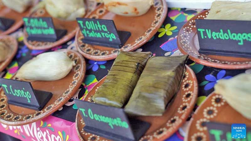 Celebración del Día de la Candelaria en el Complejo Cultural Los Pinos en México