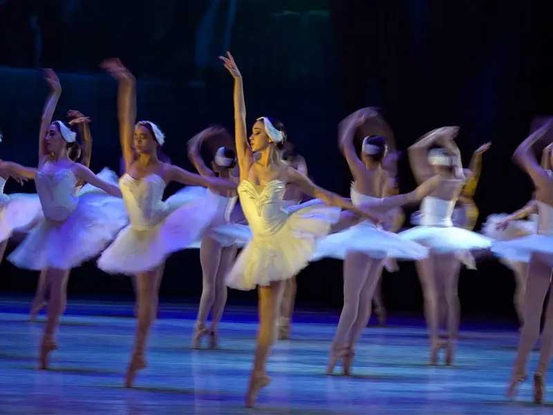 El Lago de los Cisnes GRATIS desde Bellas Artes: Cuándo y a qué hora será la transmisión en vivo