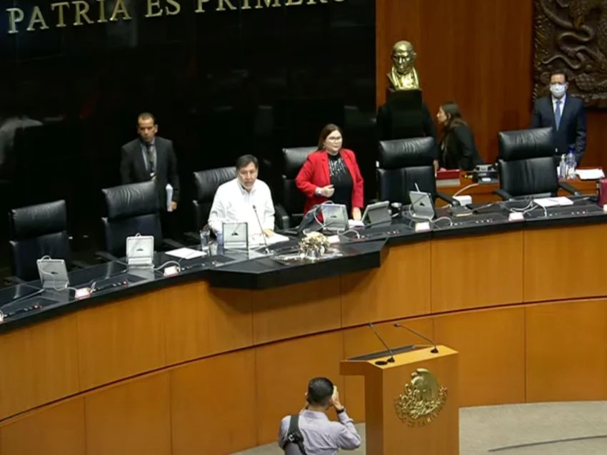 senado aprueba apoyo mensual para jóvenes desempleados y sin estudios