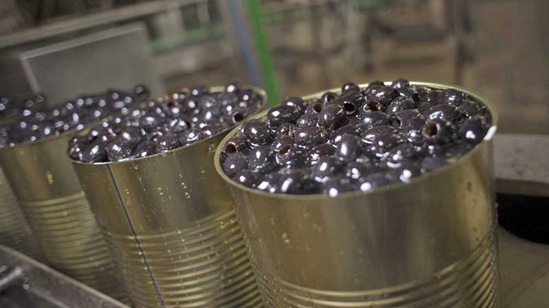 Los exportadores españoles de aceitunas negras sufrirán los nuevos aranceles de Trump