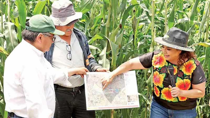 Buscan un plan para rescatar zona lacustre en Xochimilco y Tláhuac