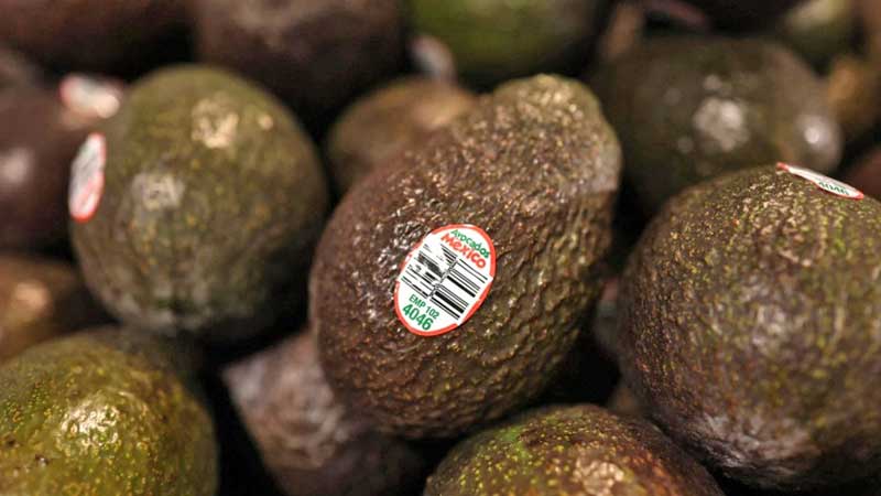 Día Internacional del Aguacate: 'oro verde', 10 años bajo la lupa