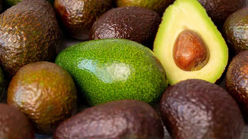 Día Internacional del Aguacate: 'oro verde', 10 años bajo la lupa