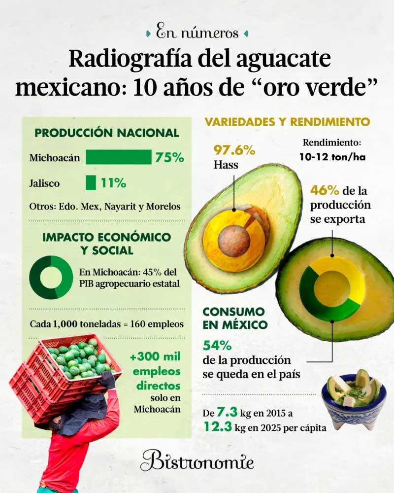 Día Internacional del Aguacate: 'oro verde', 10 años bajo la lupa
