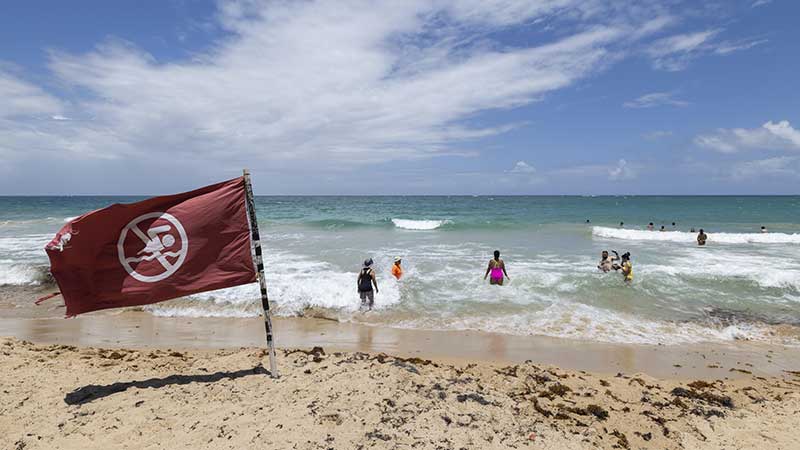 Alcanza huracán Erin ‘catastrófica’ categoría 5 y avanza en el Atlántico