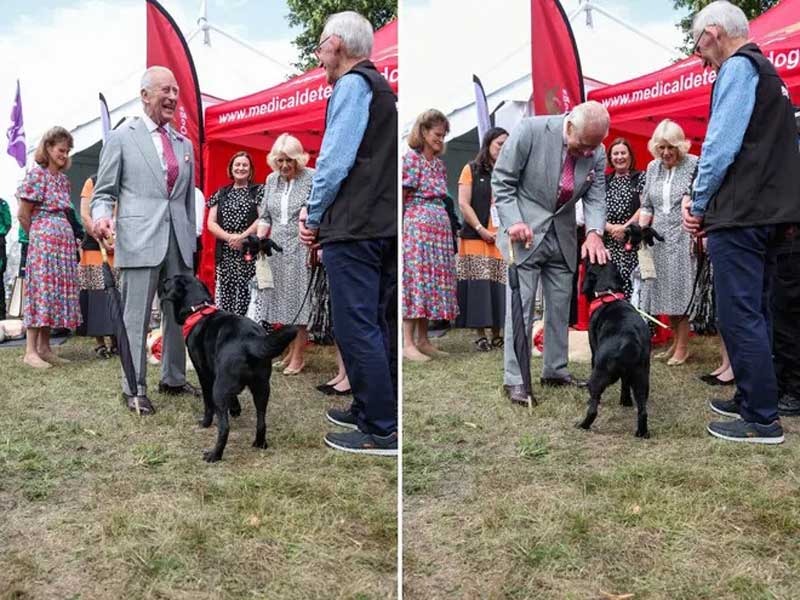 El rey Carlos III expande su imperio con productos gourmet para mascotas