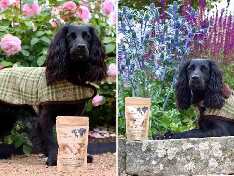 El rey Carlos III expande su imperio con productos gourmet para mascotas