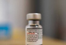 Vacuna actualizada de Covid llegará en octubre: Pfizer