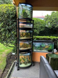 imagen de whatsapp 2025 09 19 a las 08.06