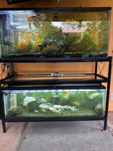 imagen de whatsapp 2025 09 19 a las 08.06.43 7c1cca7c