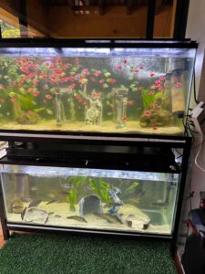 imagen de whatsapp 2025 09 19 a las 08.06.43 9d1e4731