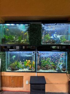 imagen de whatsapp 2025 09 19 a las 08.06.44 0353a3b2