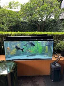 imagen de whatsapp 2025 09 19 a las 08.06.44 0f77f8ea