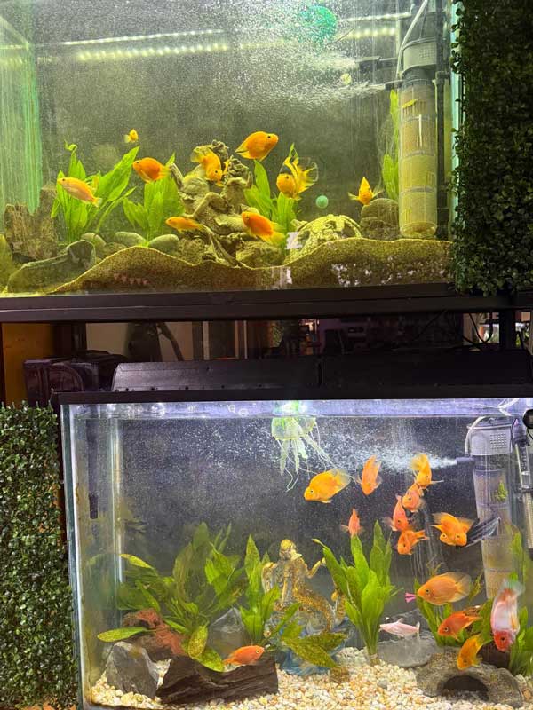 imagen de whatsapp 2025 09 23 a las 07.52.36 0048d491