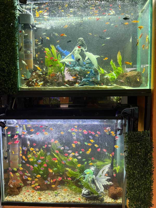 imagen de whatsapp 2025 09 23 a las 07.52.36 0709a65f