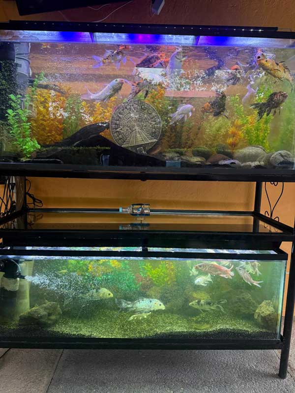 imagen de whatsapp 2025 09 23 a las 07.52.36 13df9705