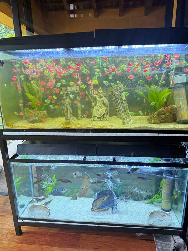 imagen de whatsapp 2025 09 23 a las 07.52.36 23817ade