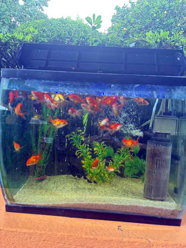 imagen de whatsapp 2025 09 23 a las 07.52.36 59fd021b