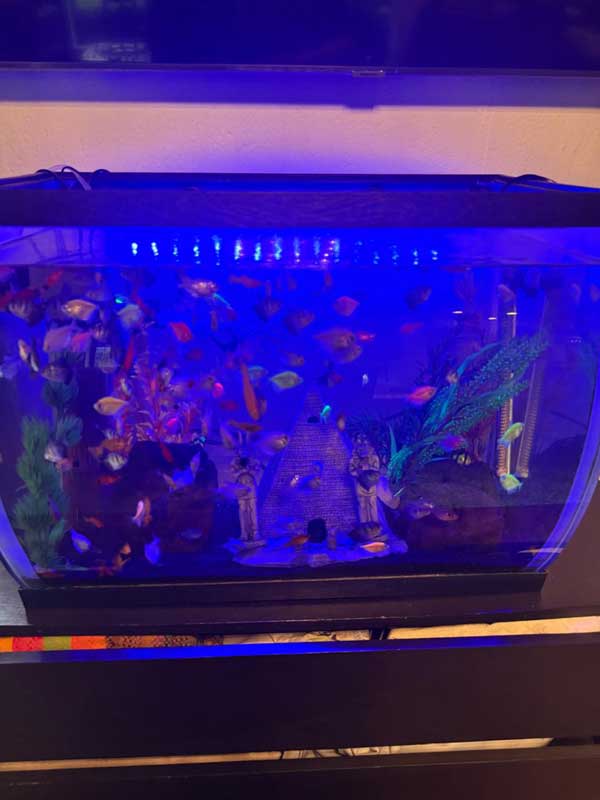 imagen de whatsapp 2025 09 23 a las 07.52.36 704b6f80